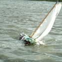 skut2-290.jpg