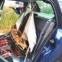 Clio_290.jpg